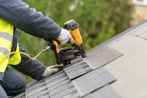 Best Solar Panel Roofing Installation  in Batesburg Leesville, SC
