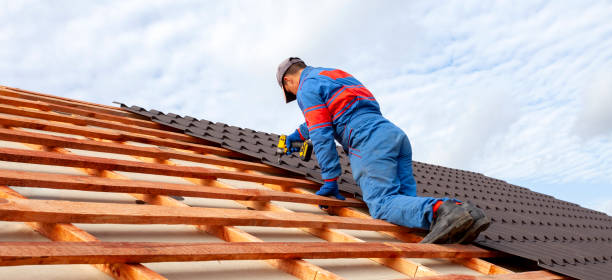 Best Roof Ventilation Installation  in Batesburg Leesville, SC